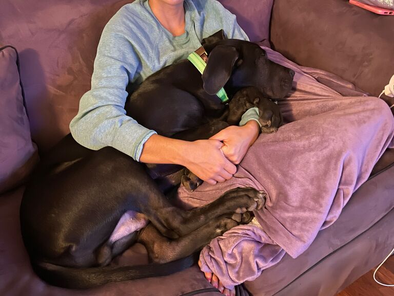 Mikey pretending Winston is still a lap dog...