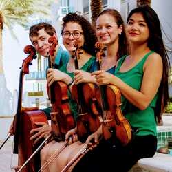 Biscayne String Quartet, profile image