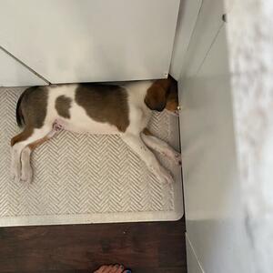 Gallery Photo 32