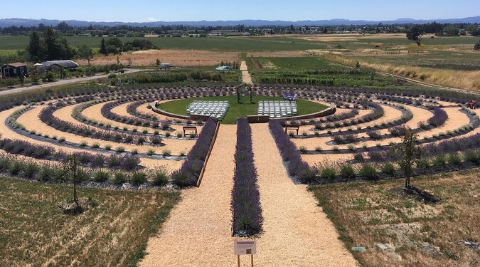 The Lavender Labyrinth and Flower Garden + Updated Prices - The Knot