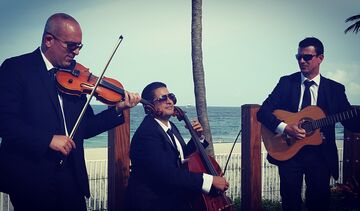 DELUXE STRING TRIO - String Quartet - Miami, FL - Hero Main