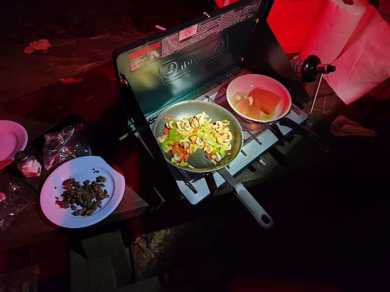 Our last meal before getting engaged. A camping special- salmon and ground beef with mushrooms, peppers, and onions. Yum!!