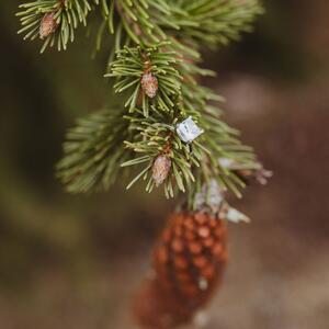 Gallery Photo 46