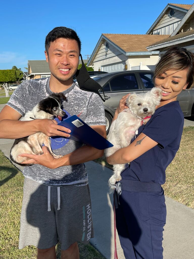 rescued Bella and brought her home