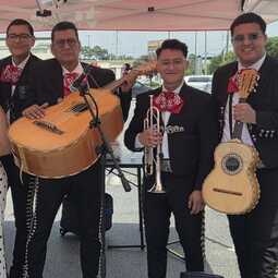 Mariachi Elegancia, profile image
