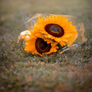 Gallery Photo 6