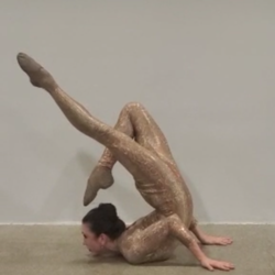 Malin Aerial Dance LLC, profile image