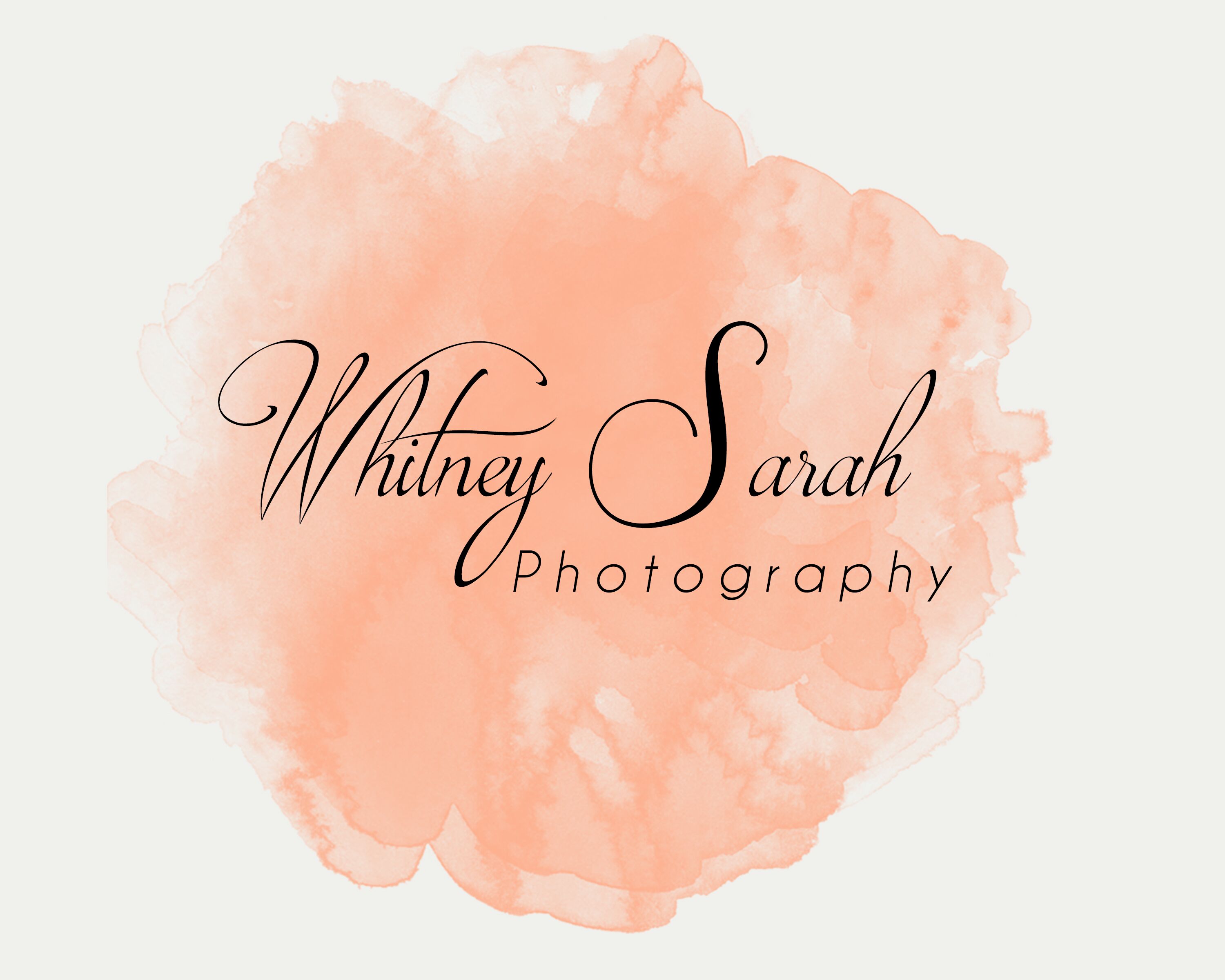 Whitney Sarah Photography | Wedding Photographers - The Knot