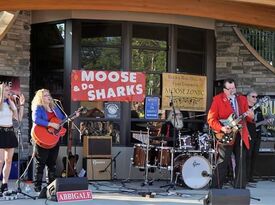 Moose & Da Sharks - Cover Band - Detroit, MI - Hero Gallery 1