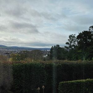 Gallery Photo 138