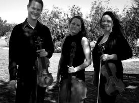 Elite Music Group - Classical Quartet - Las Vegas, NV - Hero Gallery 2