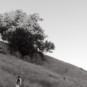 Gallery Photo 5