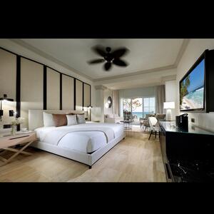 Gallery Photo 64