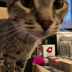 Gallery Photo 27