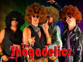 The Shagadelics - Disco Band - Chicago, IL - Hero Gallery 4