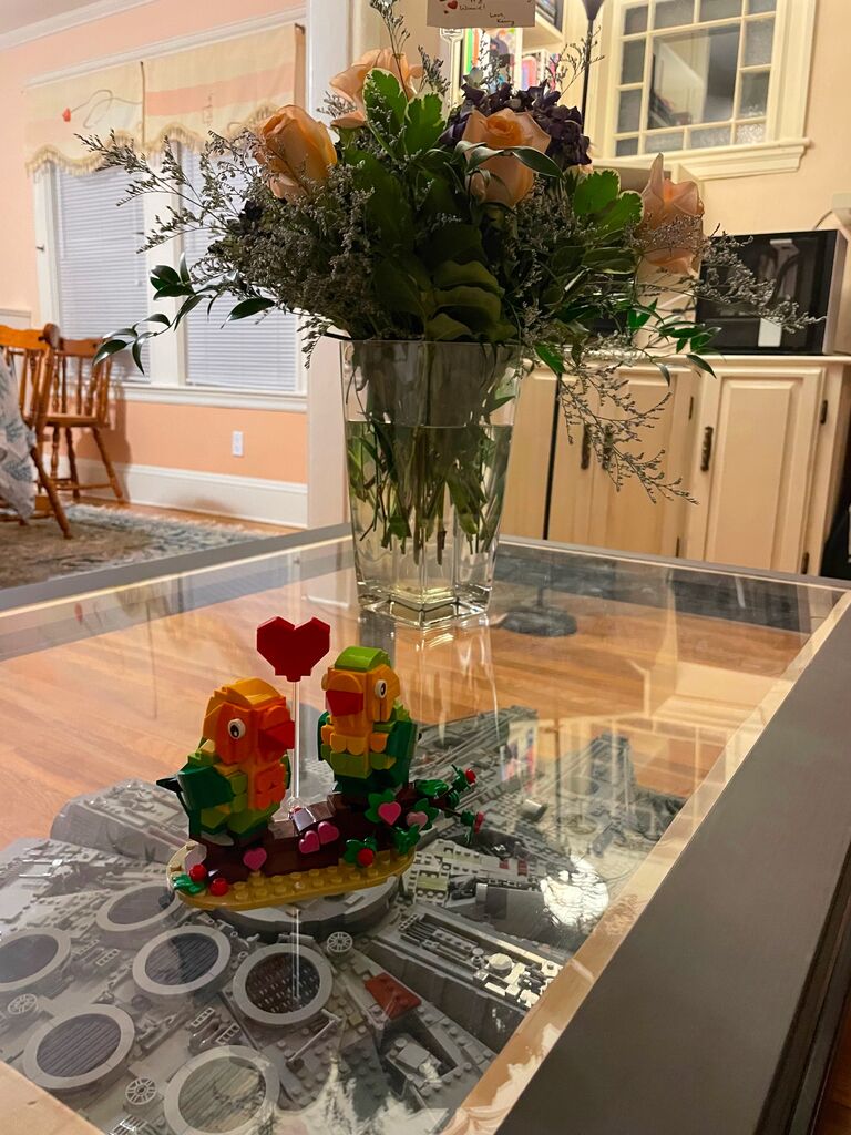 Our first Valentine's Day. The path to our hearts are laid with Lego bricks.