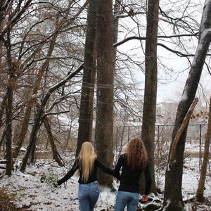 Gallery Photo 26