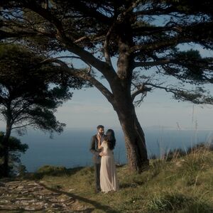 Gallery Photo 6