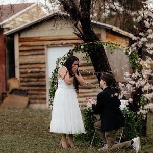 Gallery Photo 37