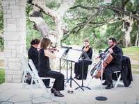 A string quartet plays outside beneath the trees.