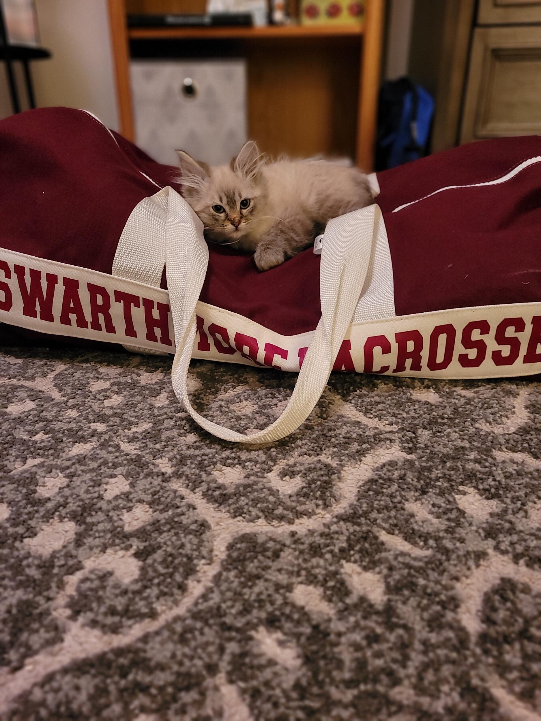 Welcomed a new addition to their little family when Leche needed a new home.