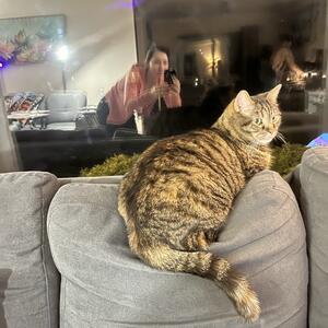 Gallery Photo 61