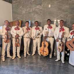 Mariachi pedregal, profile image