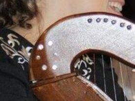 Tracy Glass, Harpist - Harpist - Palmetto, GA - Hero Gallery 2