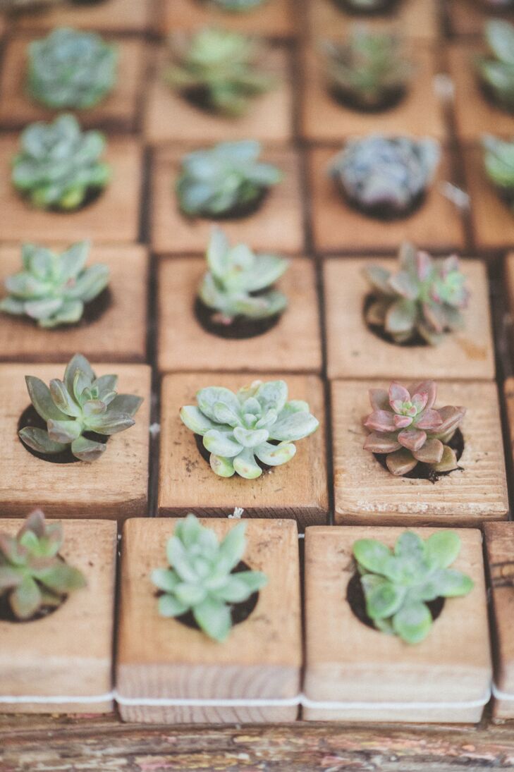 Mini Succulent Wedding Favors