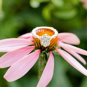 Gallery Photo 46