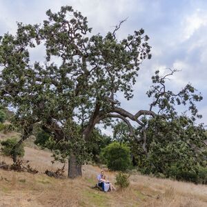 Gallery Photo 44
