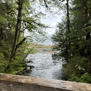 Gallery Photo 10