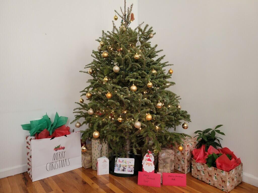 Our First Christmas Together:  