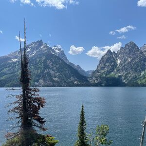 Gallery Photo 22