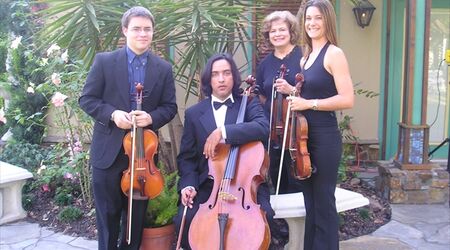 Houston Wedding & Reception String Music | Ensembles & Soloists