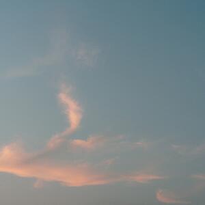 Gallery Photo 64
