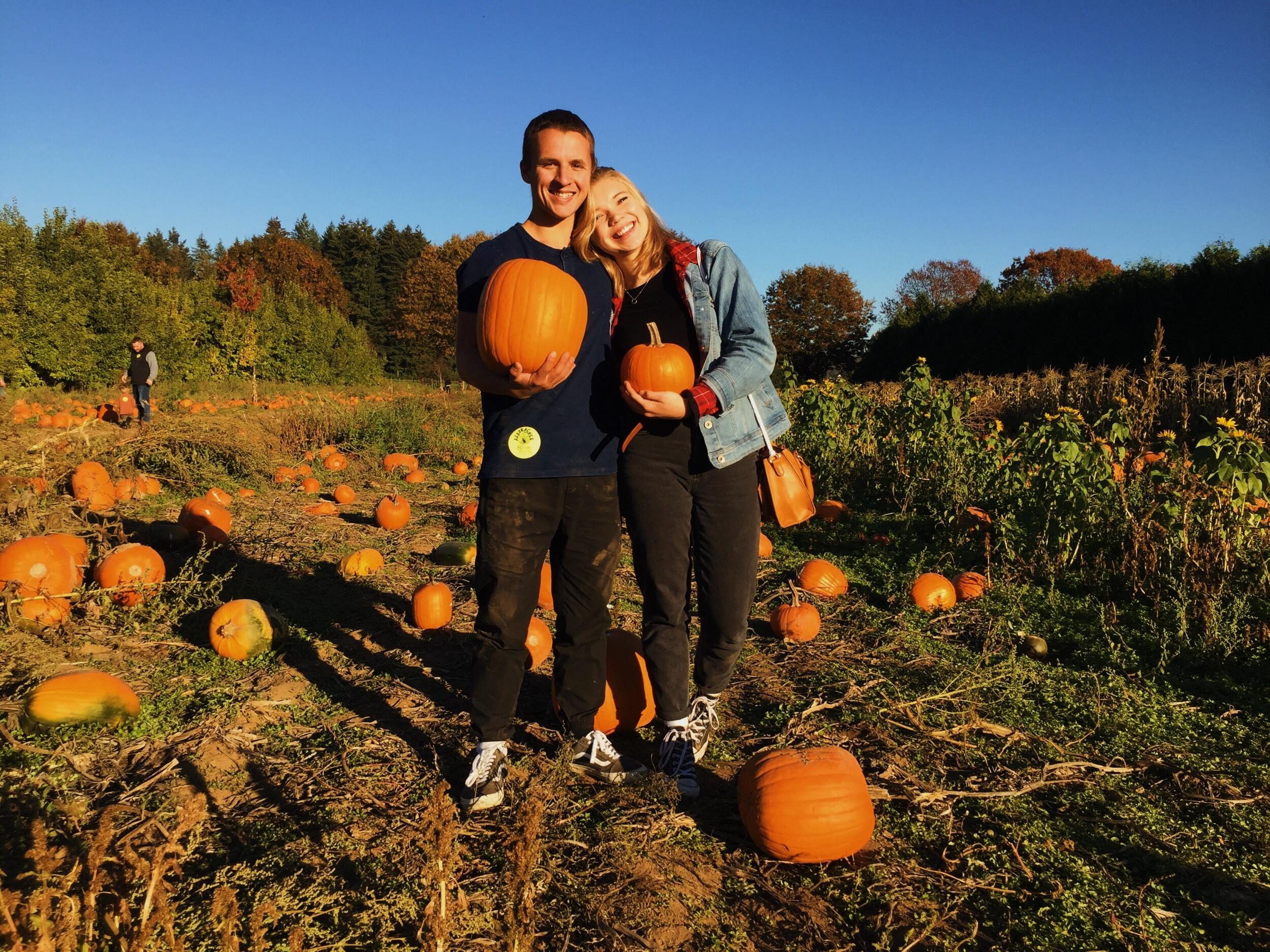 Pumpkin picking