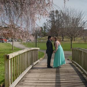 Gallery Photo 4