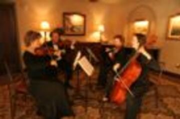 Naples Chamber Ensembles - String Quartet - Dana Point, CA - Hero Main