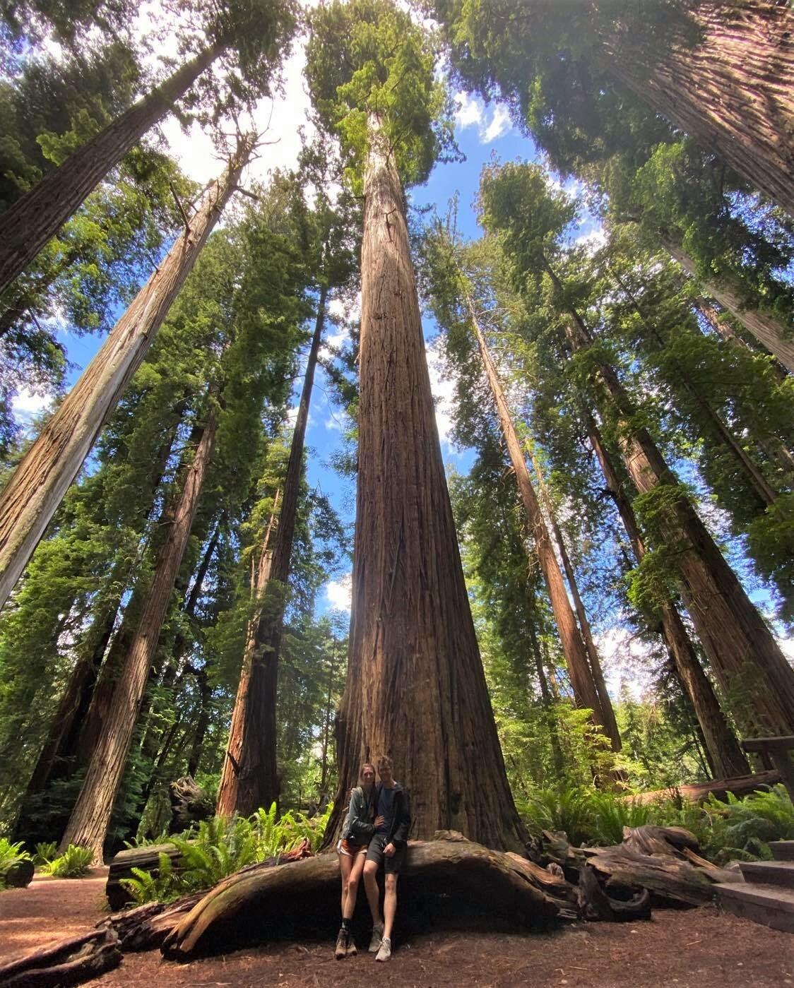 From Portland, Kara and Alex road tripped through the California Redwoods, ending in San Francisco, CA!