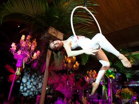 Phoenix & Scottsdale - Circus & Cirque Events - Acrobat - Phoenix, AZ - Hero Gallery 2