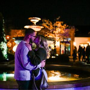 Gallery Photo 16