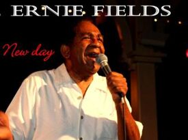 ERNIE FIELDS "The ENTERTAINER, SHOWMAN" - Singing Pianist - Washington, DC - Hero Gallery 2