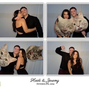 Gallery Photo 18
