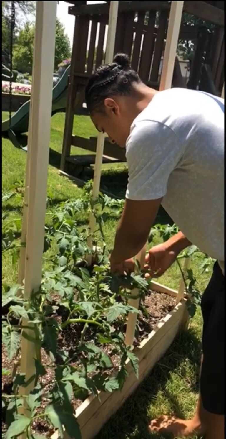 Zach decided to pick up a new hobby; Gardening! 