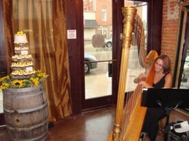 Meg Rodgers, Harpist - Harpist - Saint Joseph, MI - Hero Gallery 2