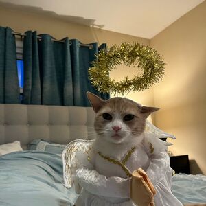 Gallery Photo 21