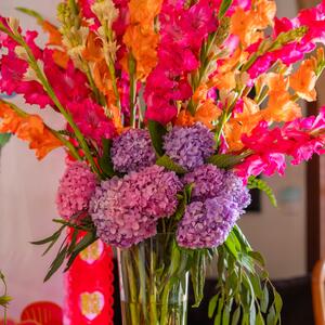 Gallery Photo 16