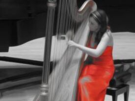 Kristina Finch, Harpist - Harpist - Hattiesburg, MS - Hero Gallery 3