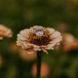 Gallery Photo 10